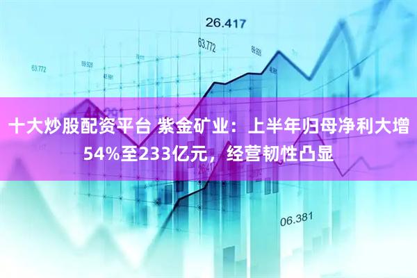 十大炒股配资平台 紫金矿业：上半年归母净利大增54%至233亿元，经营韧性凸显