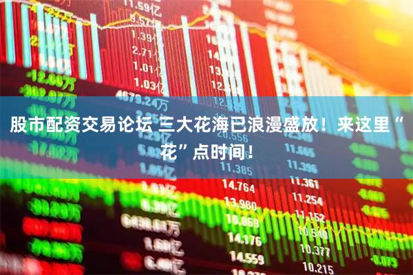 股市配资交易论坛 三大花海已浪漫盛放！来这里“花”点时间！